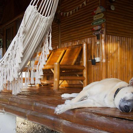 Tongo Hill Cottages Moalboal Ngoại thất bức ảnh