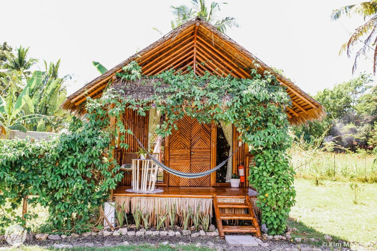 Tongo Hill Cottages Moalboal Ngoại thất bức ảnh