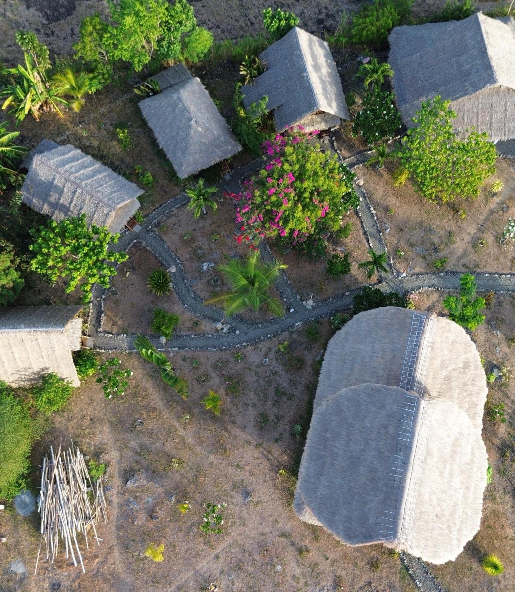 Tongo Hill Cottages Moalboal Ngoại thất bức ảnh