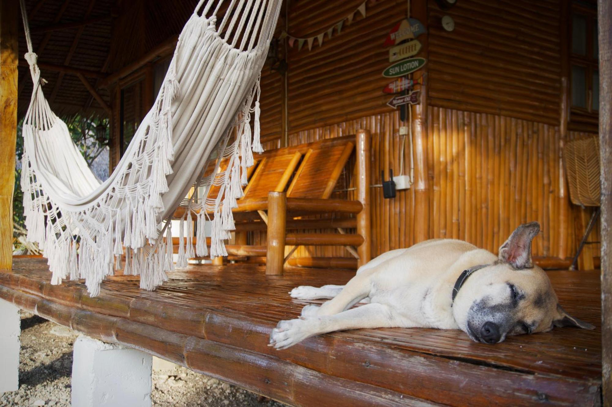 Tongo Hill Cottages Moalboal Ngoại thất bức ảnh